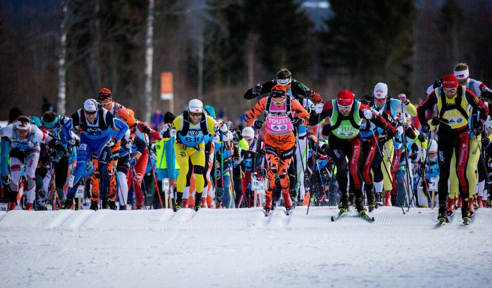 Skilegenden Thomas Wassberg gjør comeback og går Birken for første gang Rena - Lillehammer. Birkebeinerrennet 2017. 18 mars. Sol litt kuldegrader. Ca 9000 påmeldte. Birken Skifestival 2017 ble en suksess! To helger med sol, skyfri himmel og kuldegrader på natta ga flotte spor og bra forhold for årets deltagere. Foto: BI