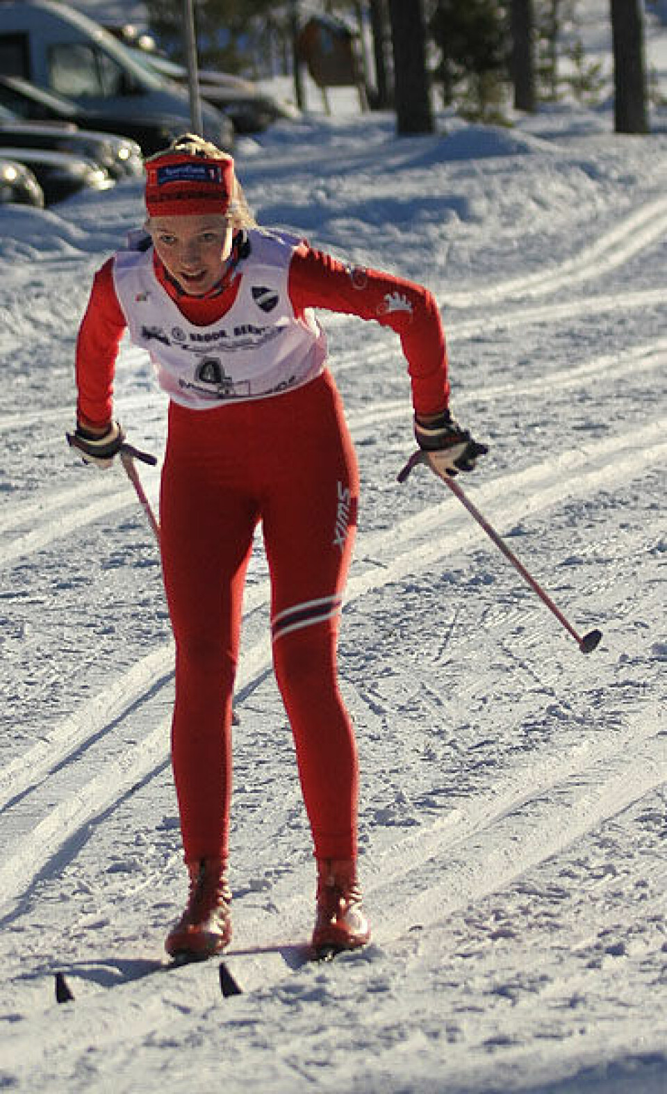 Rekorder i det tredje Vikerfjelløpet