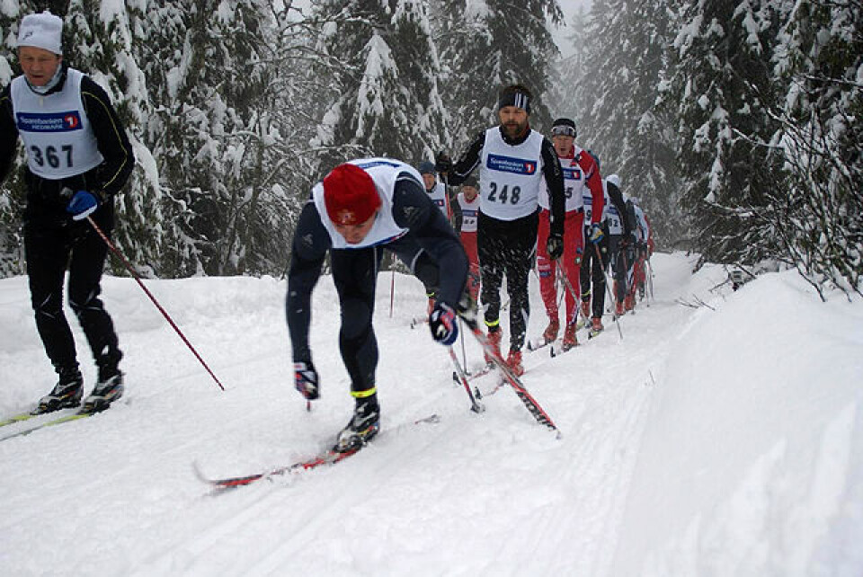 Thomas Henriksen staket best på Budor Feilskjaer_4km.jpg