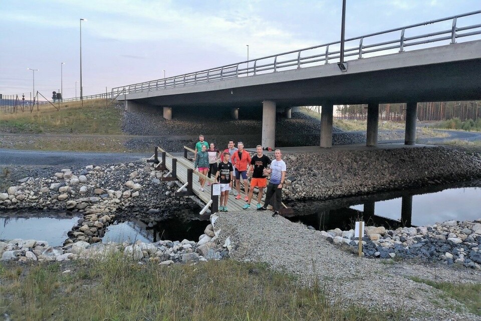 Det andre løpet i høstjakta startet rett under rundkjøringa på nye rv. 3 inn til Elverum. Her er en stor gjeng samlet for fellesstart tirsdag med Kondis-trener Christoffer Hvammen i front. (Foto: Rolf Bakken) Det andre løpet i høstjakta startet rett under rundkjøringa på nye rv. 3 inn til Elverum. Her er en stor gjeng samlet for fellesstart tirsdag med Kondis-trener Christoffer Hvammen i front. (Foto: Rolf Bakken)