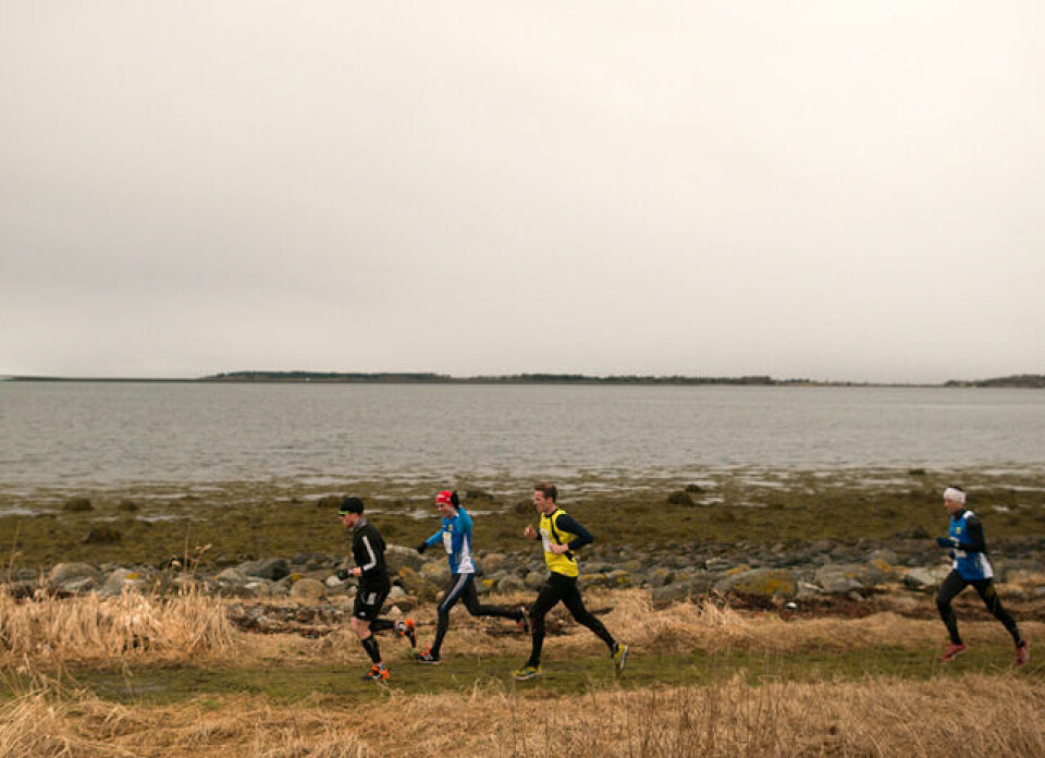 Rekorddeltakelse i Frostatingløpet Skogsstier_20170402-_DSC0474.jpg