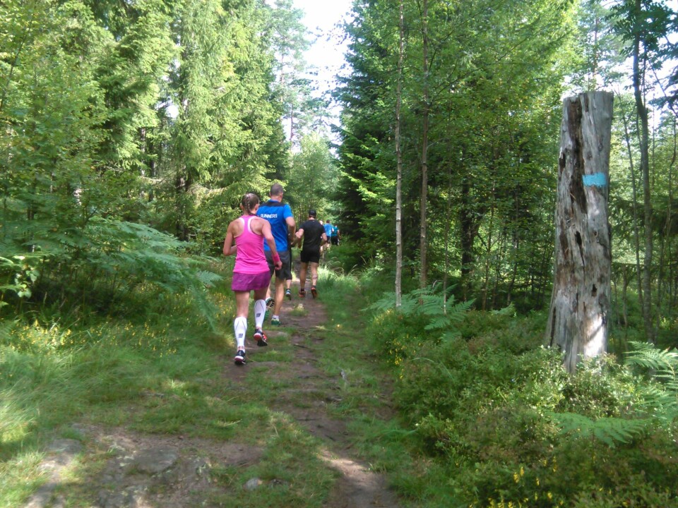 Stemningsrapport fra Det røde huset Backyard Ultra IMG_20150808_102515.jpg