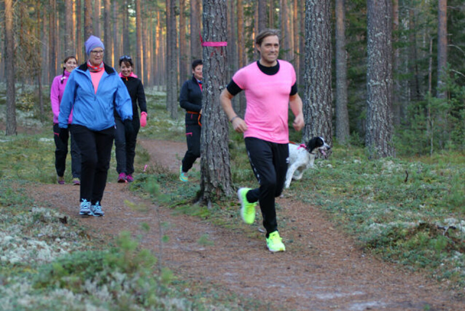 Rosa Sløype-løpet i Stavåsen med utrolige 600 deltakere Per_Steina_Krogsaether.jpg