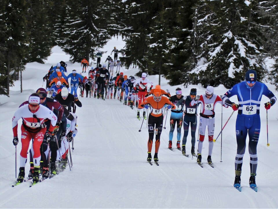 Teten etter 2 km staking med vinneren Henrik Haugland Syverinsen først i sporet til venstre og fjerdemann i mål, Amund Hoel, i føringen til høyre. I midten Magnus Bleken som tok 6. plassen. (Foto: Rolf Bakken) Teten etter 2 km staking med vinneren Henrik Haugland Syverinsen først i sporet til venstre og fjerdemann i mål, Amund Hoel, i føringen til høyre. I midten Magnus Bleken som tok 6. plassen. (Foto: Rolf Bakken)