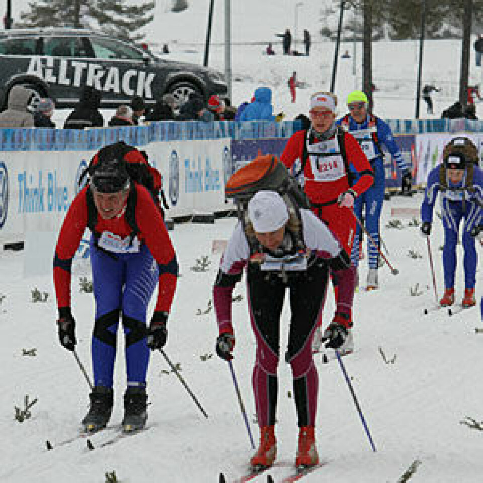 14350 fullførte Birkebeinerrennet Birkrennet_0167_mot_maal