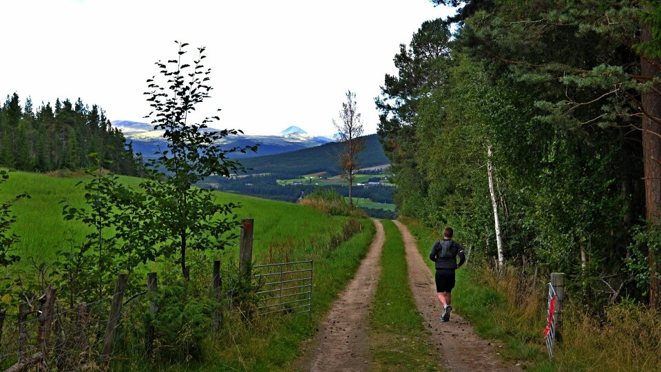 Utsikt mot Sølnkletten i Alvdal Vestfjell. (Foto: Inge Haugen) Utsikt mot Sølnkletten i Alvdal Vestfjell. (Foto: Inge Haugen)