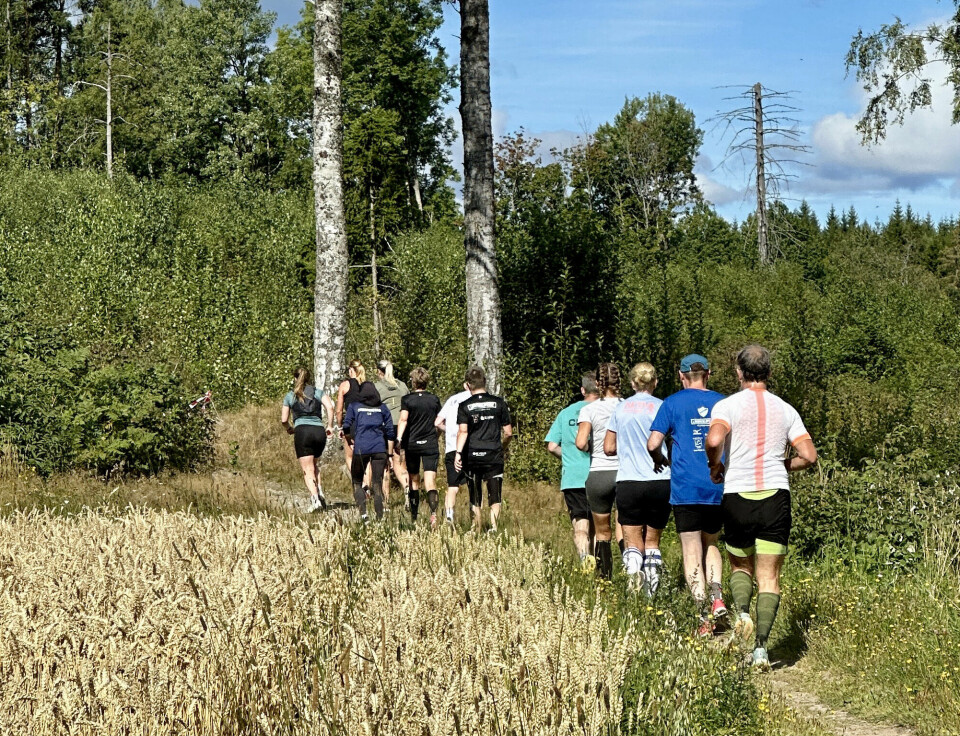 Siste oppoverbakke før et teknisk stiparti hvor sløyfen på løype møtes. (Foto: arrangør)