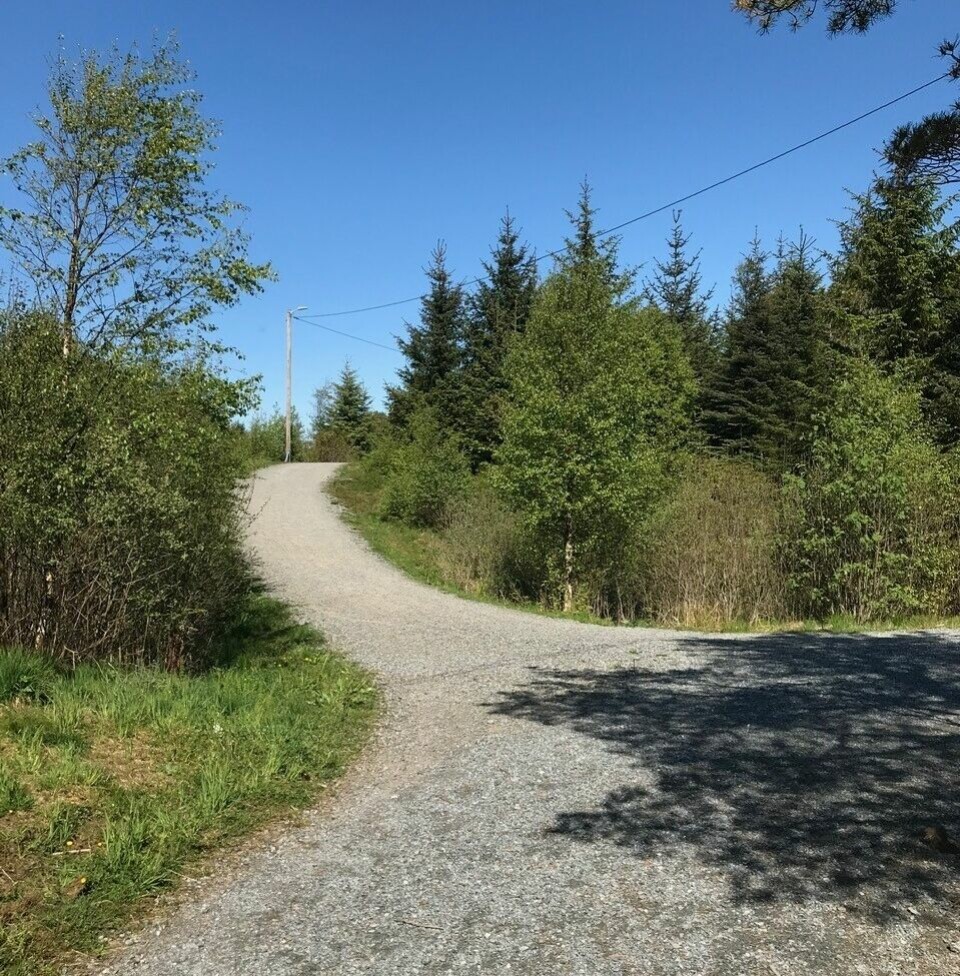 42 løpere med 75 resultater i Kondis virtuelle maraton- og ultraløp bakken i lysløypa (960x975).jpg