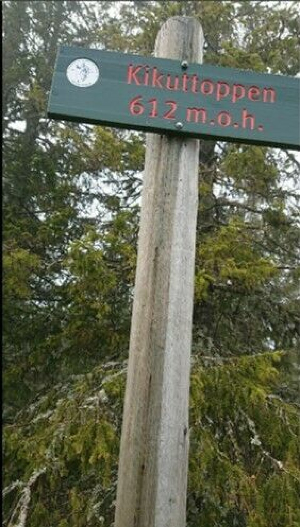 42 løpere med 75 resultater i Kondis virtuelle maraton- og ultraløp Øivind_Due_Trier_Kikuttoppen.jpg